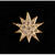 Sisi star brooch with Swarovski crystals, gold coating
