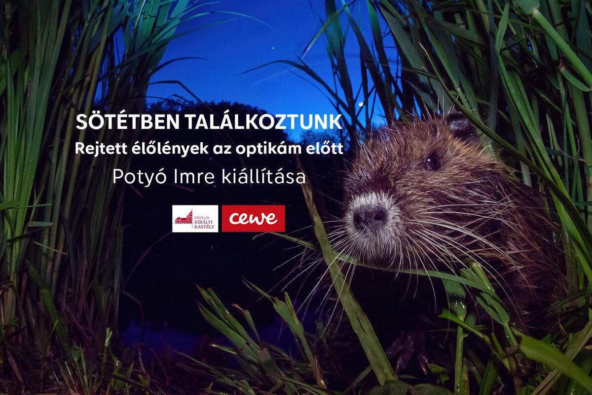 Sötétben találkozunk | Potyó Imre fotókiállítása