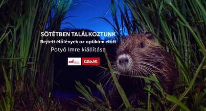 Sötétben találkozunk | Potyó Imre fotókiállítása