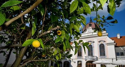 2026. Outdoor summer programs at the Royal Palace of Gödöllő