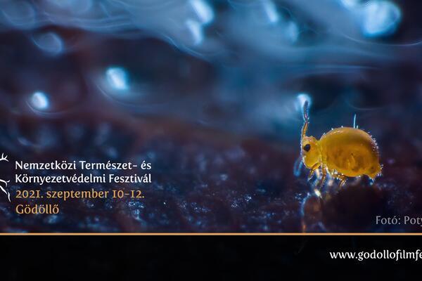 Nature and Enviromental Protection Festival - All Festival events are free!
Our motto is still the same!
"Nature and Environmental protectionwith the power of Arts and Games"
The theme of this year's Festival is... Nature and Enviromental Protection Festival