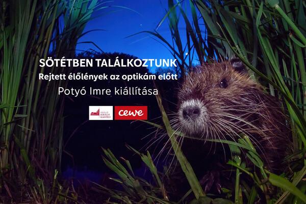 Sötétben találkozunk | Potyó Imre fotókiállítása