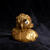 Sípoló, arany színű Sisi kacsa