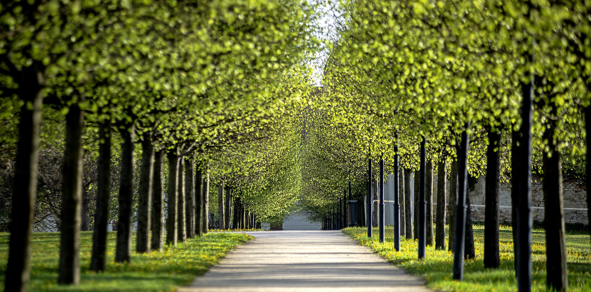 Kastélypark